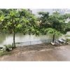 1,350 tỷ Bán Nhà gần khu Khang Linh phường 10 Vũng Tàu 