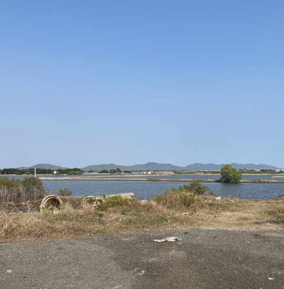 Bán Đất Biệt Thự phường 12 Vũng Tàu VIEW SÔNG Cây Khế 