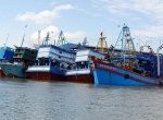 Sớm nâng cấp các cảng cá tại Bà Rịa - Vũng Tàu