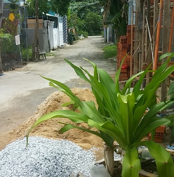 #5 Bán nhà cấp 4 2PN gần bệnh viện mới hẻm 780 đường bờ kênh bình giã P11 TPVT