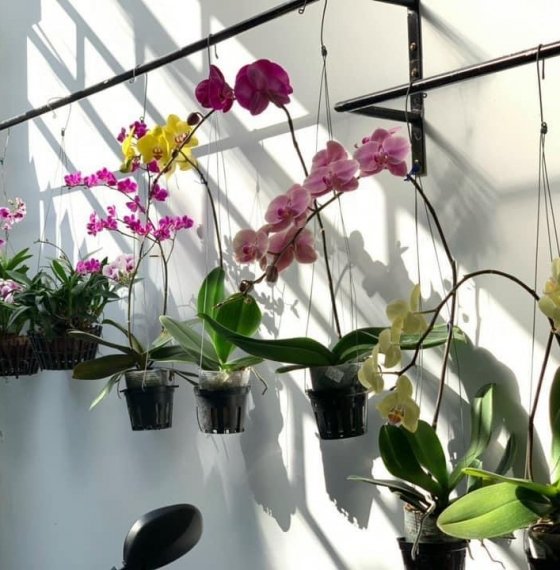 Nhà 1 trệt 3 lầu ngay mặt tiền chính P thắng nhất TPVT