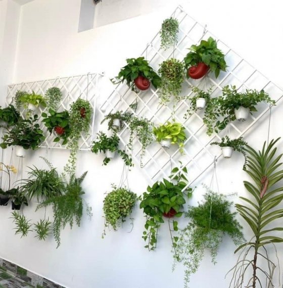 Đất mt hẻm 52 bắc sơn,p11,tp vũng tàu.