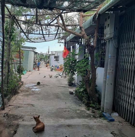 Bán nhà hẻm 828 Bình Giã,phường 11, TP Vũng Tàu.