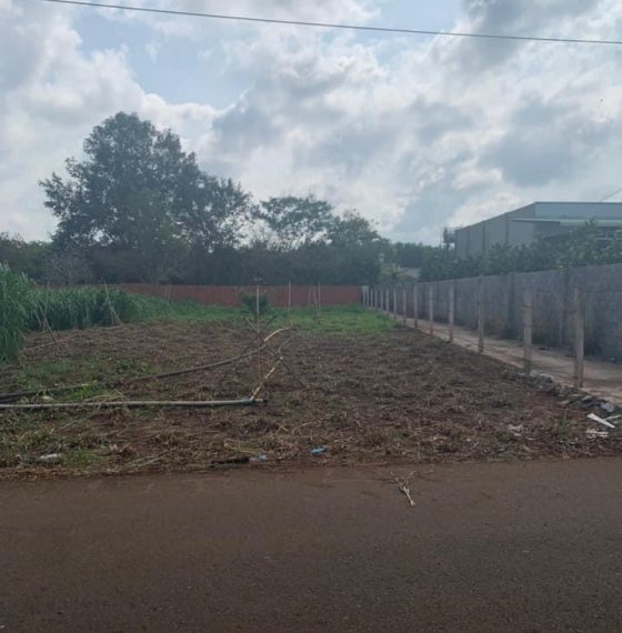 Bán 510m2 đất  bìa riêng cây lâu năm tại Long Phước- TP Bà Rịa