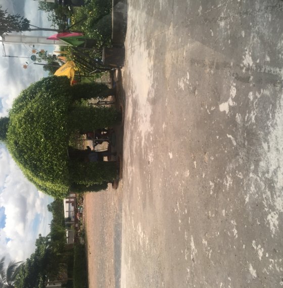bán nhà Cấp 4 Đường Nguyễn An Ninh,phường 7,TpVT