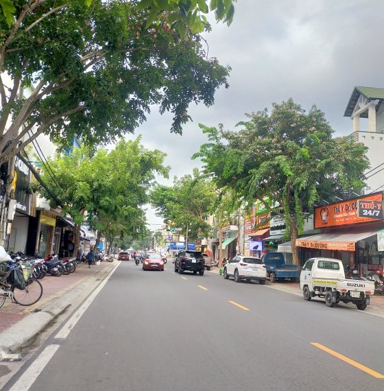 Bán nhà đường trương công định