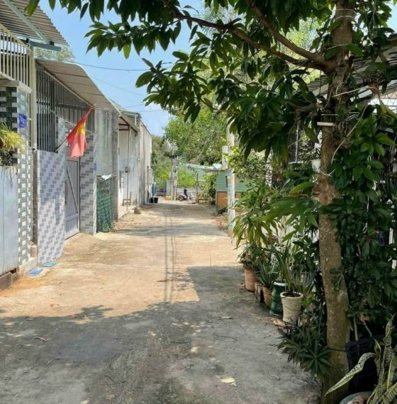 Bán nhà tôn đất NN sổ riêng hẻm 30/4 p11 tp Vũng tàu