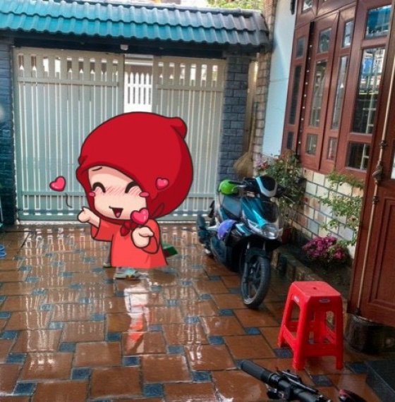 Nhà cho thuê trung tâm tp Vũng tàu