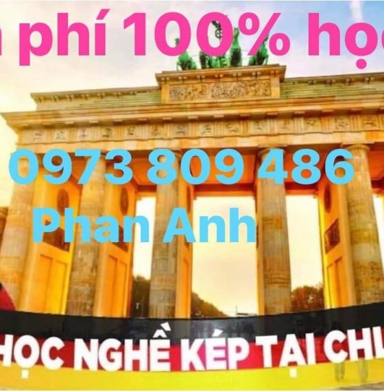 Cho thuê nhà miễn phí 100% bà rịa Vũng tàu