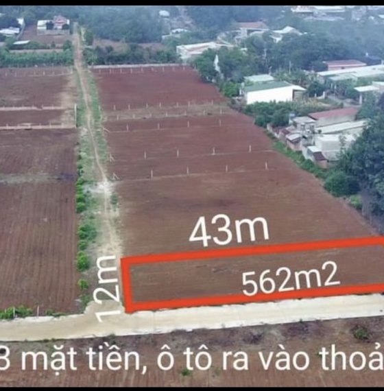 Bán đất sổ riêng giá rẻ phường Hắc Dịch thị xã Phú Mỹ Bà rịa Vũng tàu