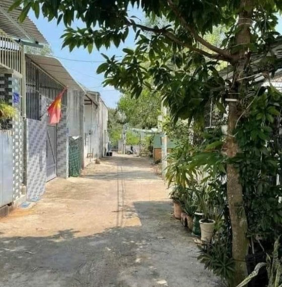 Nhà tôn dưới 1 tỷ Phường 11 Vũng Tàu