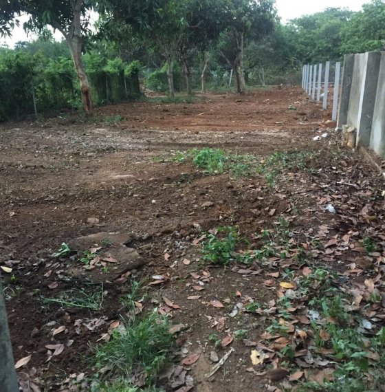 Bán đất Biệt Thự nhà vườn Hoà Long thành phố Bà Rịa