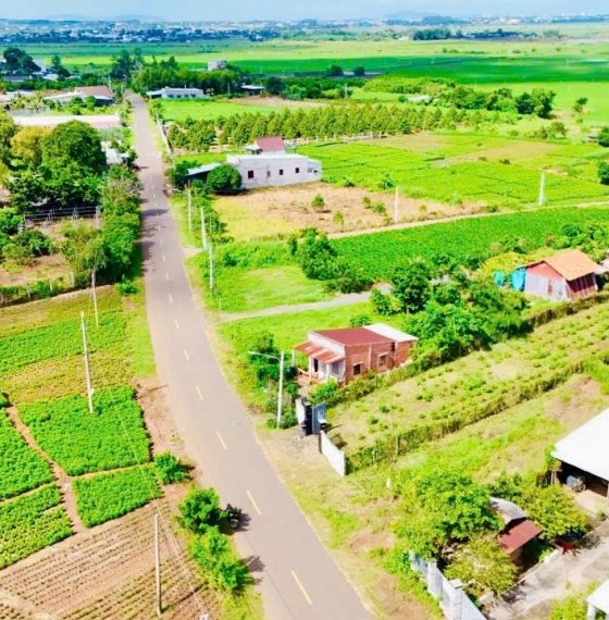 580 triệu Đất sổ riêng thổ cư đường nhựa Đất Đỏ Bà Rịa Vũng Tàu